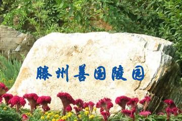 枣庄滕州善国陵园